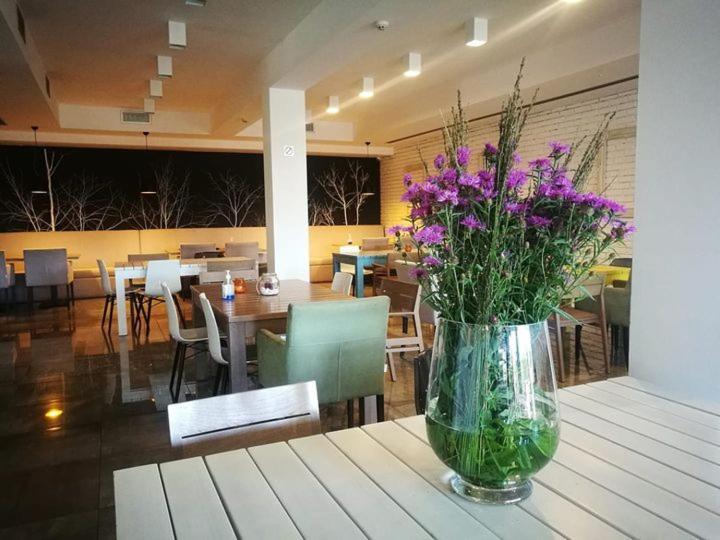 Hotel Heba Divčibare Zewnętrze zdjęcie
